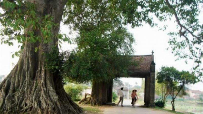 Làng cổ Đường Lâm – Nét kiến trúc truyền thống và cuộc sống yên bình ở ngoại ô Hà Nội